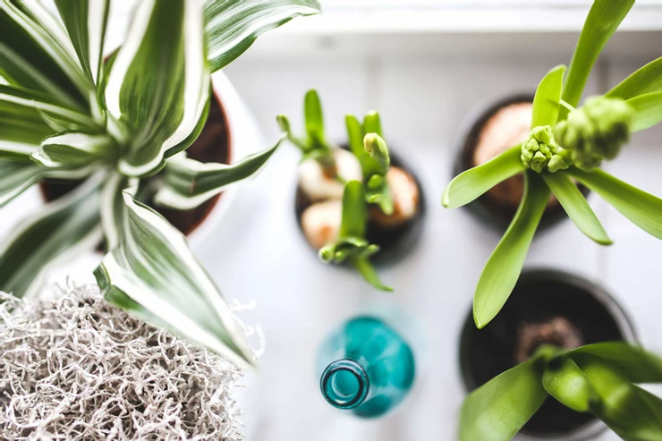 TIPS ON KEEPING YOUR PROBIOTICS ALIVE