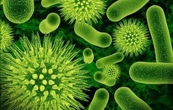 The affects of antibiotics on your gutbiome