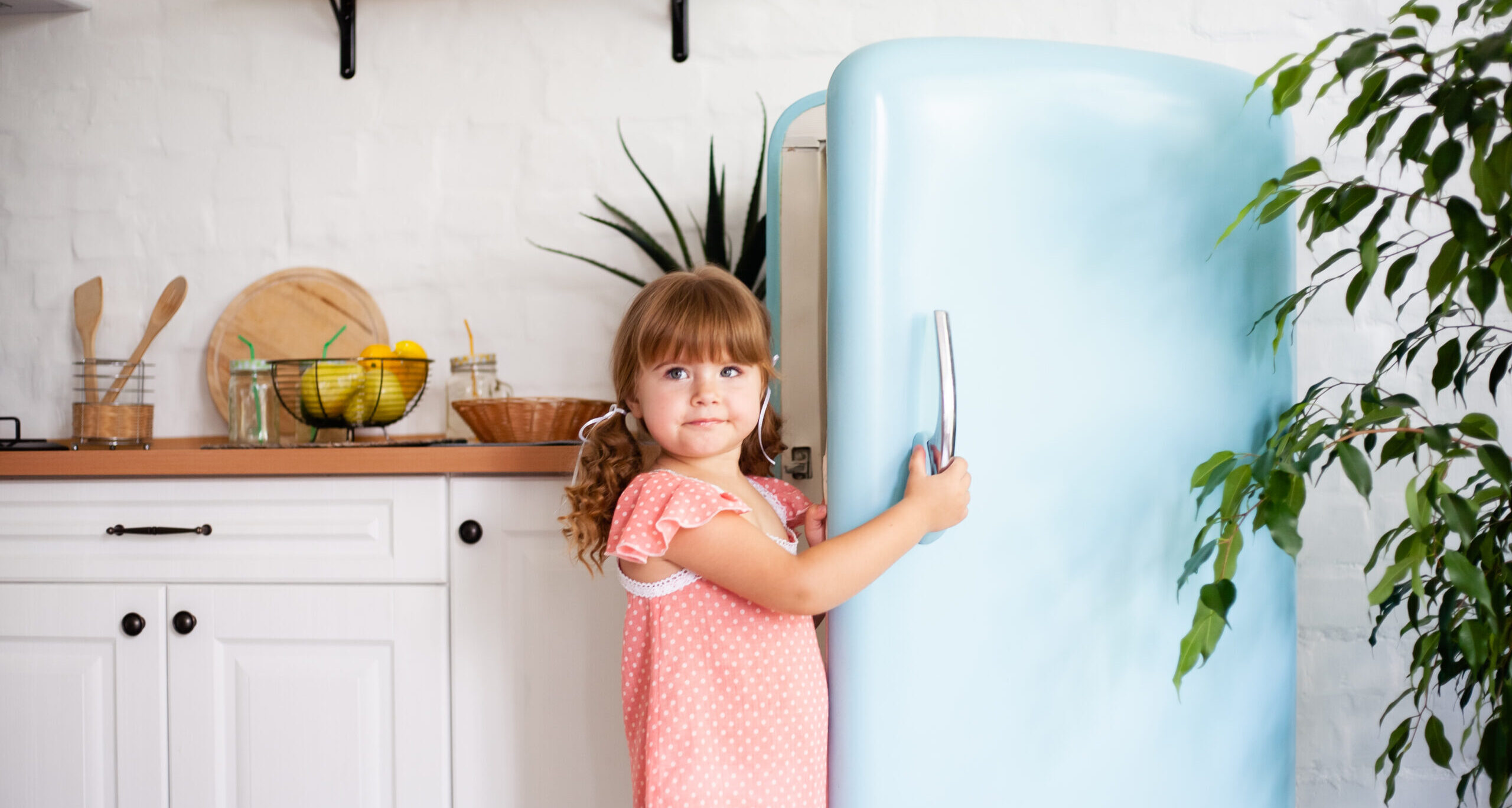 How to care for your probiotics
