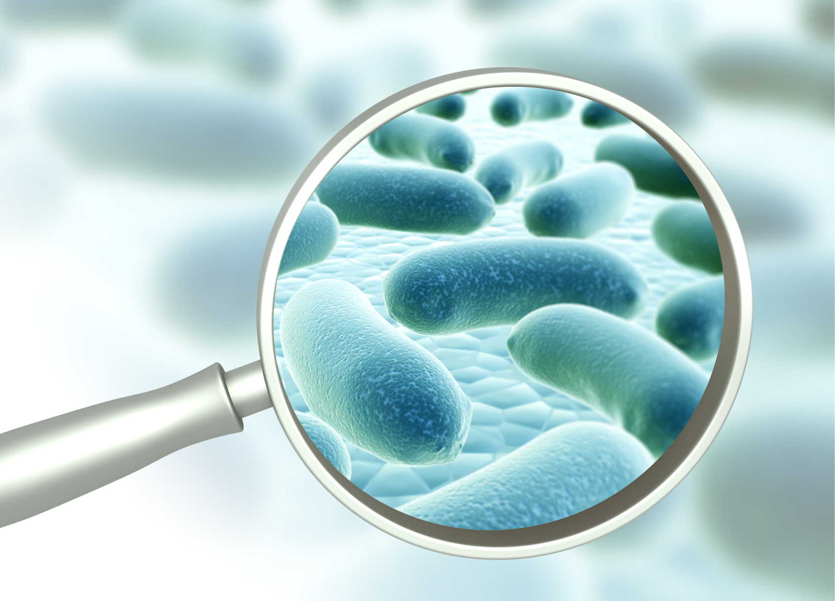 THE DIFFERENCE BETWEEN MICROBIOME AND MICROBIOTA